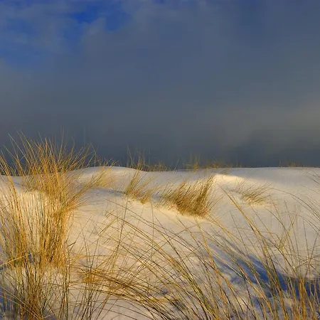 Kurparkhotel Warnemuende ホテル ロストック