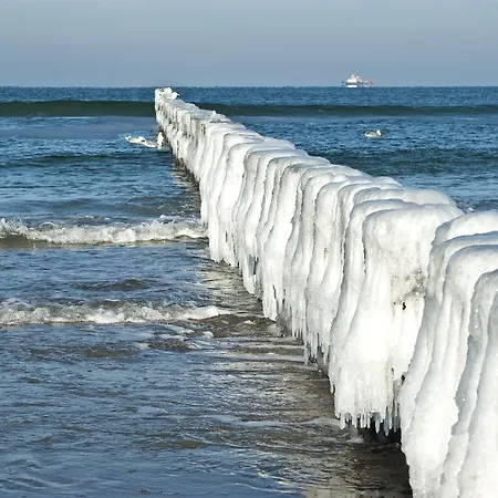 Kurparkhotel Warnemuende Hotel 4*